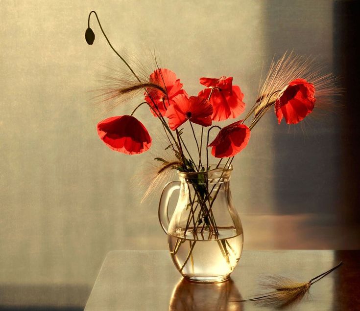 Маки в вазе фото Pin on цветы Still life photography, Glass painting, Still life