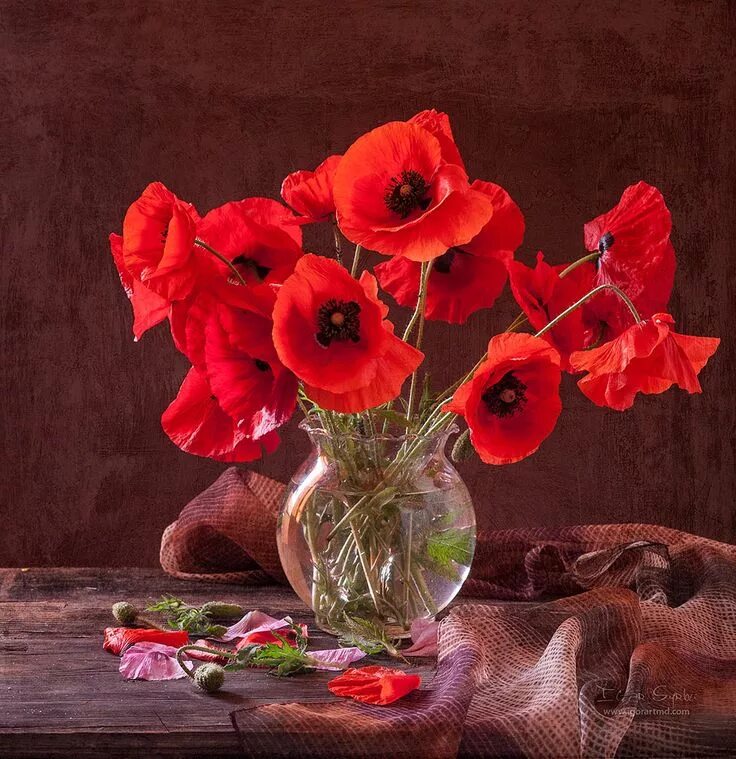 Маки в вазе фото 35PHOTO - Igor Sirbu - The red Arte de amapolas, Flores bonitas, Flores pintadas