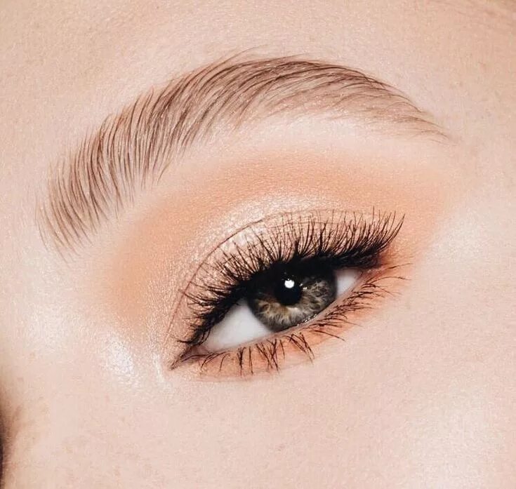 Макияж глаз нюд ☆ pinterest // @macywillcutt ☆ Eyeshadow makeup, Eye makeup, Brow makeup