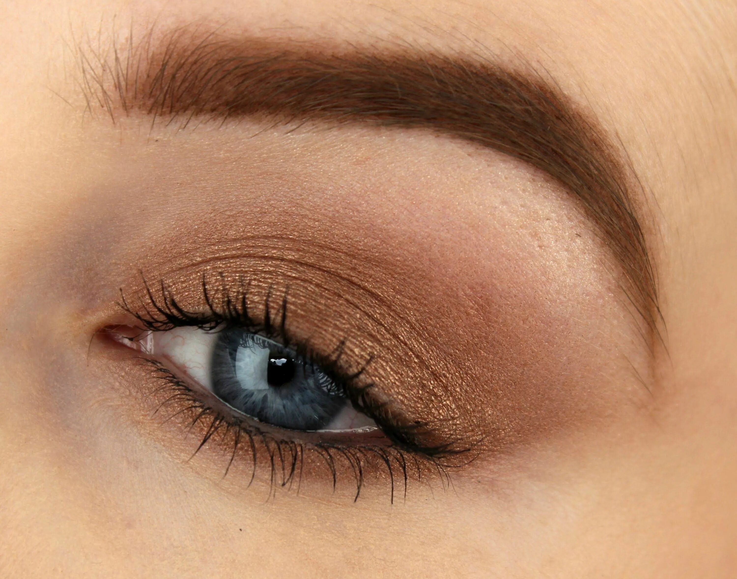 Макияж глаз светлыми тенями Beginners Makeup using ONE Eyeshadow Makeup for beginners, Eye makeup tips, Ever