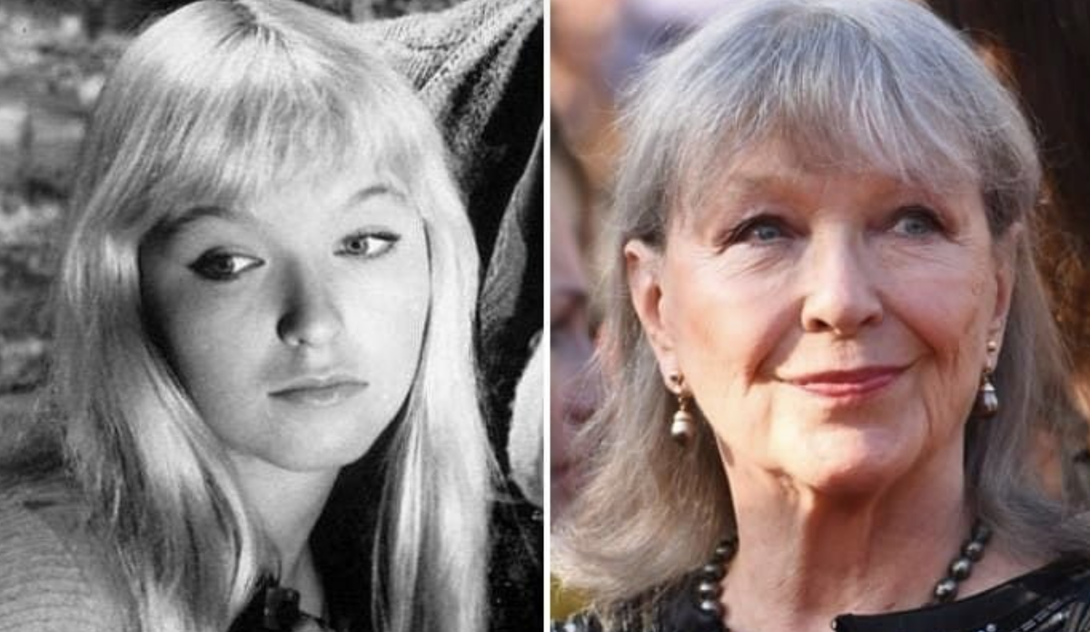 Марина влади фото в молодости и сейчас Ей уже больше 80 лет. Чем занимается и как живет муза Высоцкого Марина Влади Бол