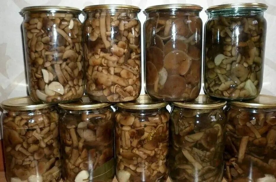 Маринованные грибы фото банка Пряный маринад для мелких лесных грибов на 1 л воды: 2 ст.... Интересный контент
