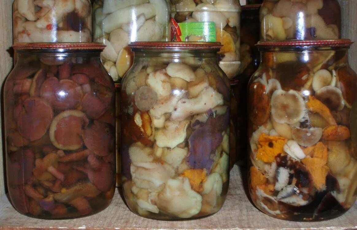 Маринованные грибы фото банка Как солить грибы на зиму в банках простой рецепт, с фото
