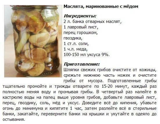 Маринованные грибы рецепт с фото пошагово Маслята грибы маринованные рецепт на зиму с уксусом CoffMachines.ru