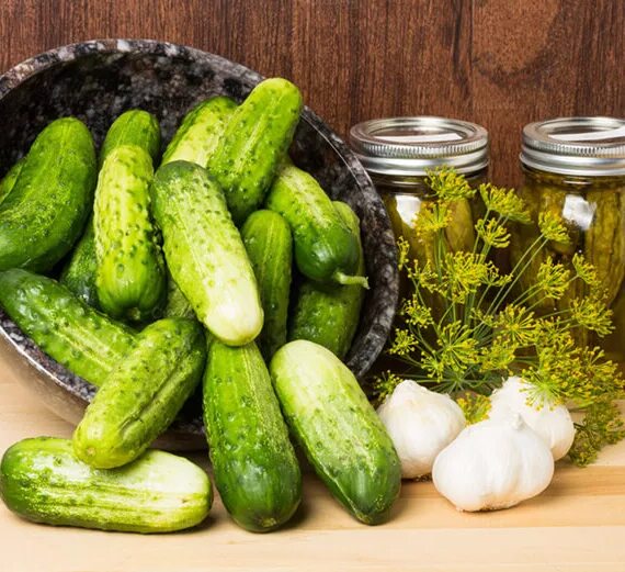 Маринованные огурцы фото Огурцы на зиму БЕЗ уксуса