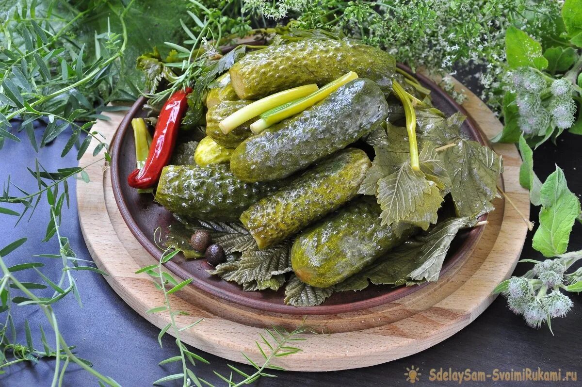 Маринованные огурцы фото рецепты Рецепт засолки малосольных огурцов холодным