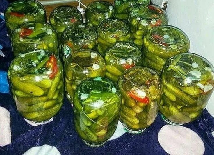 Маринованные огурцы на зиму фото Консервирование огурцов холодной водой. Рецепт на миллион! Tomato vegetable, Pic