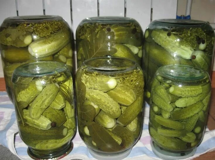 Маринованные огурцы пошаговое фото Огурцы бродилки Cucumber, Pickles, Condiments