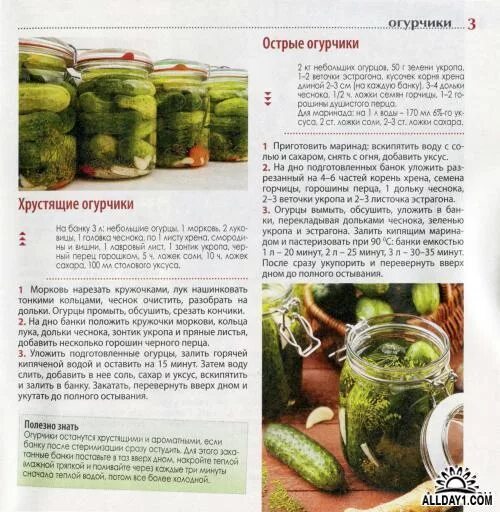 Маринованные огурцы рецепт фото пошагово Огурцы на зиму: самый вкусный рецепт заготовки и 33 лучших варианта приготовлени
