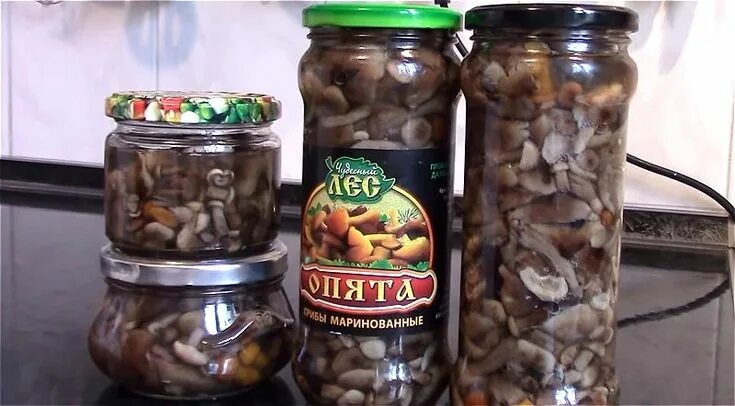 Маринованные опята пошагово с фото Маринованные опята на зиму в домашних условиях - самые вкусные рецепты Mason jar