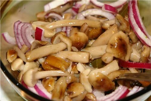 Маринованные опята вкусные фото рецепт Моя кулинарная книга, страница для печати