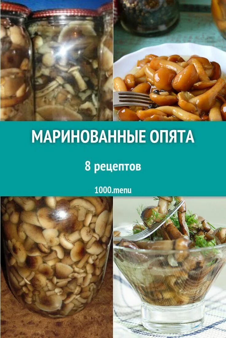 Маринованные опята вкусные фото рецепт Маринованные опята - 8 рецептов приготовления пошагово - 1000.menu поварская кни