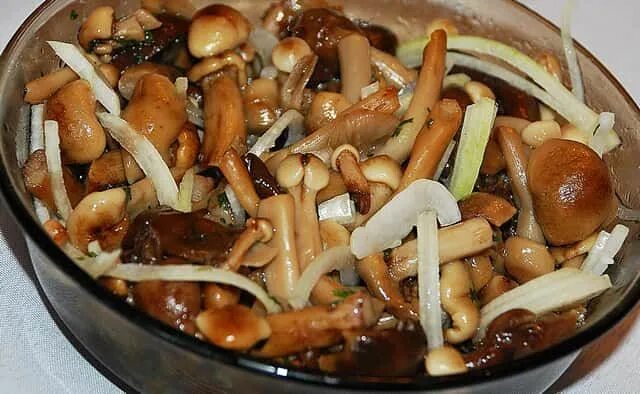 Маринованные опята вкусные фото рецепт Маринованные опята на зиму: вкусные и простые рецепты маринования опят дома Кули