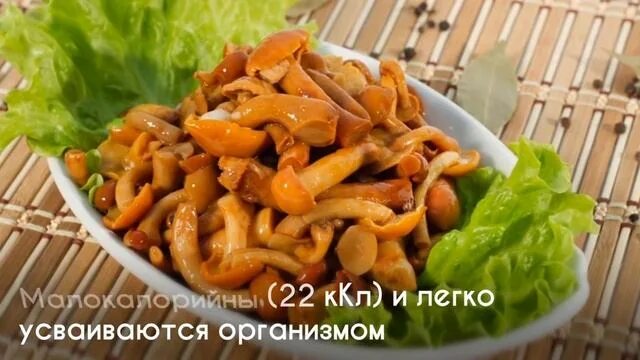 Маринованные опята вкусные фото рецепт Как собирать опята и что из них готовить? - смотреть видео онлайн от "Компьютерн
