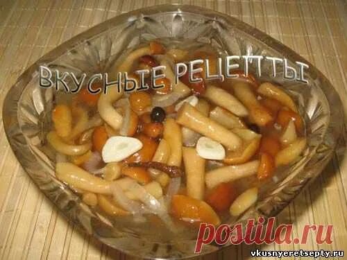Маринованные опята вкусные фото рецепт Опята быстро маринованные - рецепт с фото Вкусные рецепты Рецепты. Постила