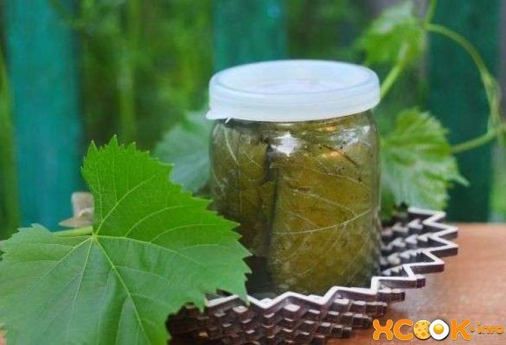 Маринованные виноградные листья фото как мариновать виноградные листья Рецепты, Консервирование, Маринование