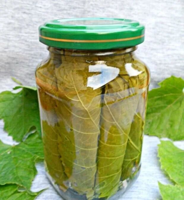 Маринованные виноградные листья фото Виноградные листья на зиму: рецепты как мариновать с фото и видео