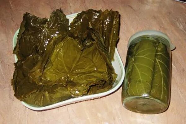 Маринованные виноградные листья фото Виноградные листья для долмы в дар (Хабаровск). Дарудар