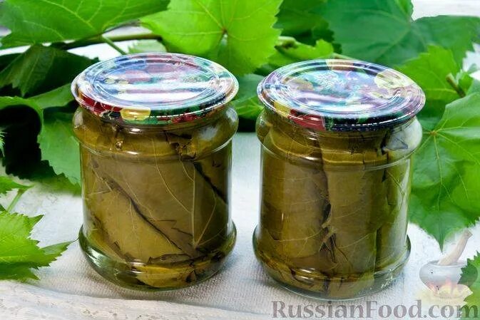 Маринованные виноградные листья фото Маринованные листья винограда eCookie.ru