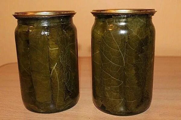 Маринованные виноградные листья фото Заготовка виноградных листьев для долмы - рецепты засолки, маринования, заморозк