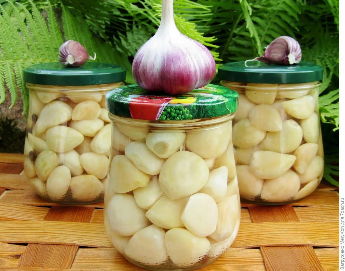 Маринованный чеснок на зиму с фото чеснок Маринованный чеснок, Зимние рецепты, Консервированные овощи