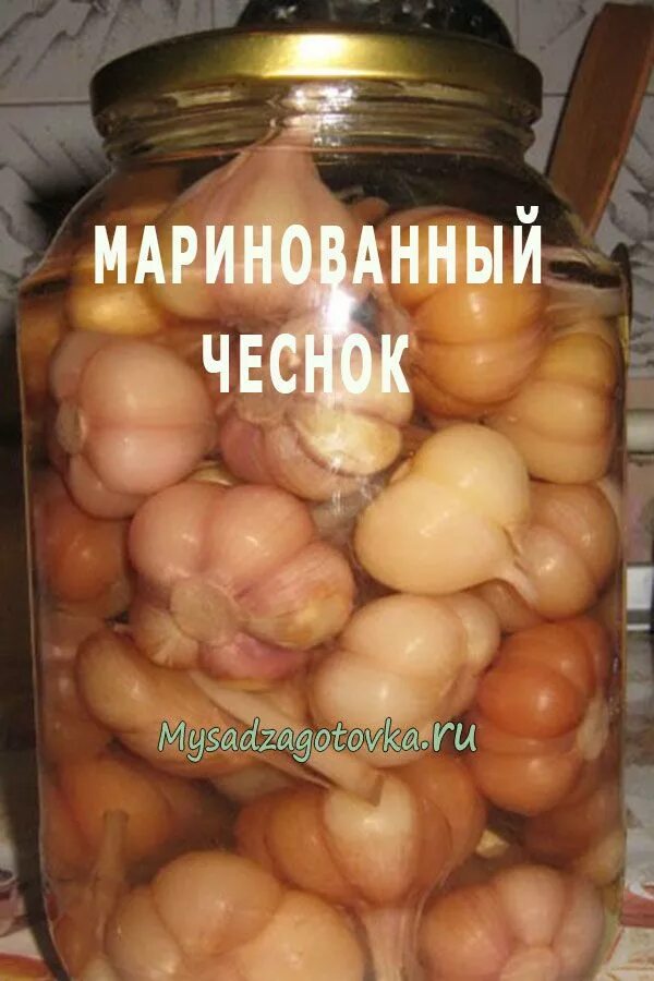 Маринованный чеснок рецепт с фото пошагово Маринованный чеснок Food, Vegetables, Pickles