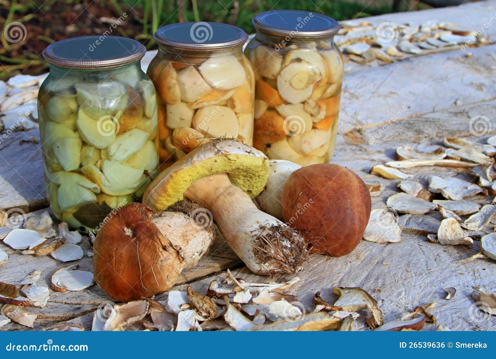 Мариновать грибы фото Preparation of mushrooms stock photo. Image of delicacy - 26539636