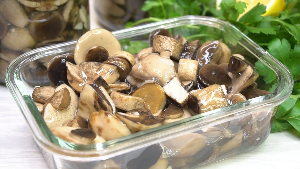Мариновать грибы фото рецепт Самые вкусные Маринованные грибы на зиму, они как свежие! Знакомая медик раскрыл