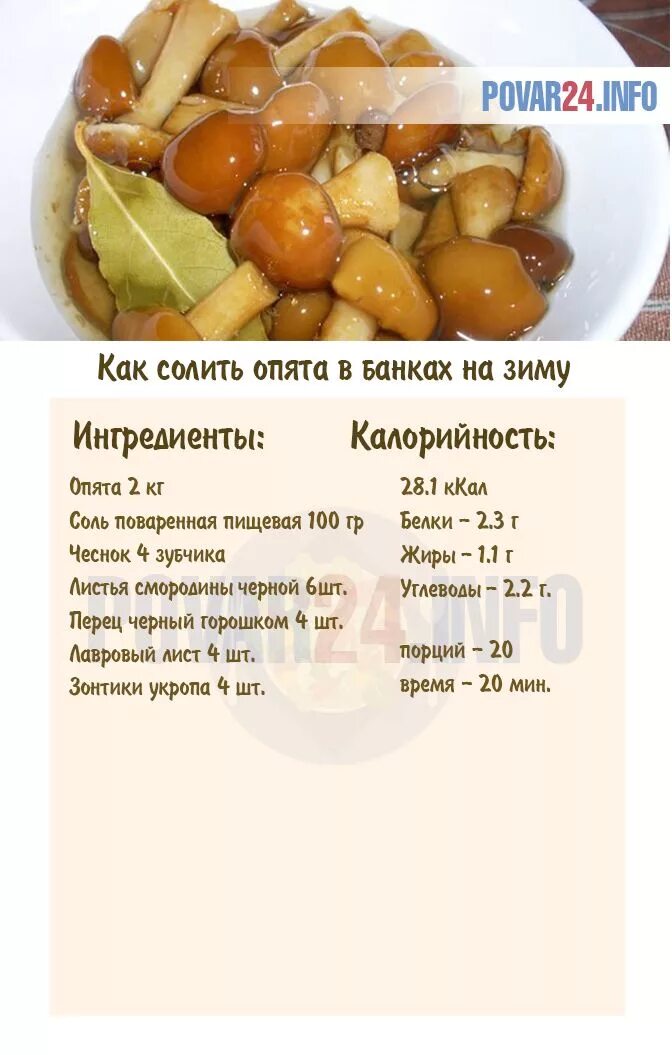 Мариновать опята рецепт с фото Грибы маринованные на зиму рецепты приготовления опята CoffMachines.ru