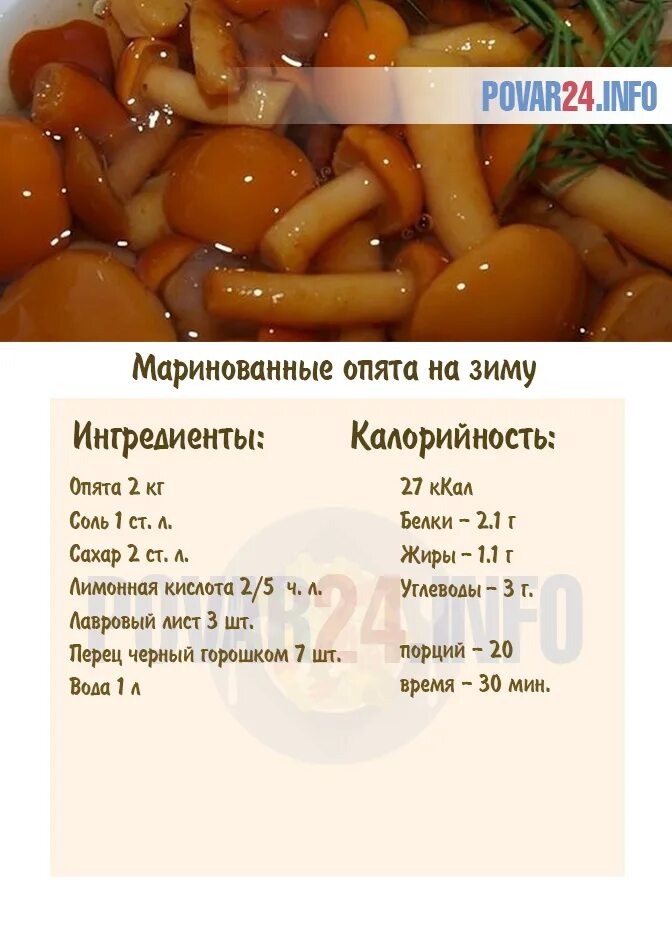 Мариновать опята рецепт с фото Маринованные опята: рецепт на зиму в банках, самый вкусный и простой, пошаговое 