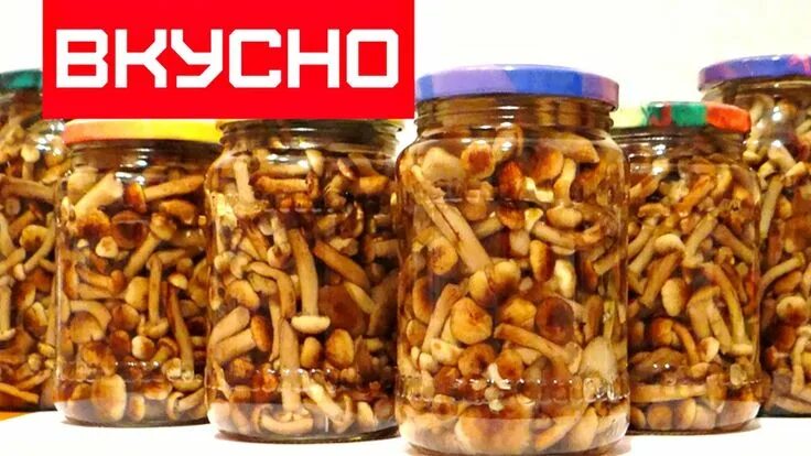Мариновать опята рецепт с фото МАРИНОВАННЫЕ ОПЯТА НА ЗИМУ / Marinated mushrooms in the winter Идеи для блюд, Ед