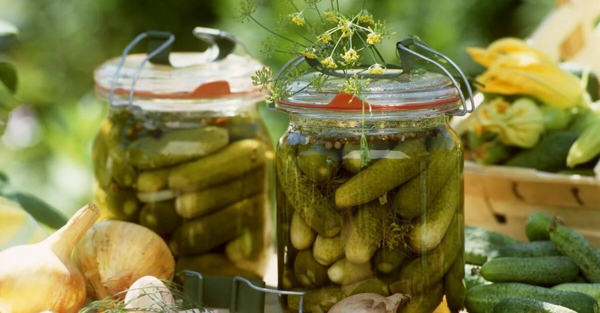 Маринуем огурцы фото Pickles recipe Eat Smarter USA