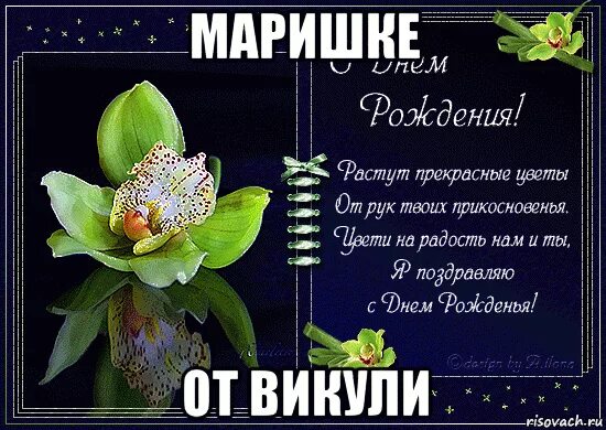 Маришка с днем рождения картинки прикольные маришке от викули, Мем цветы - Рисовач .Ру