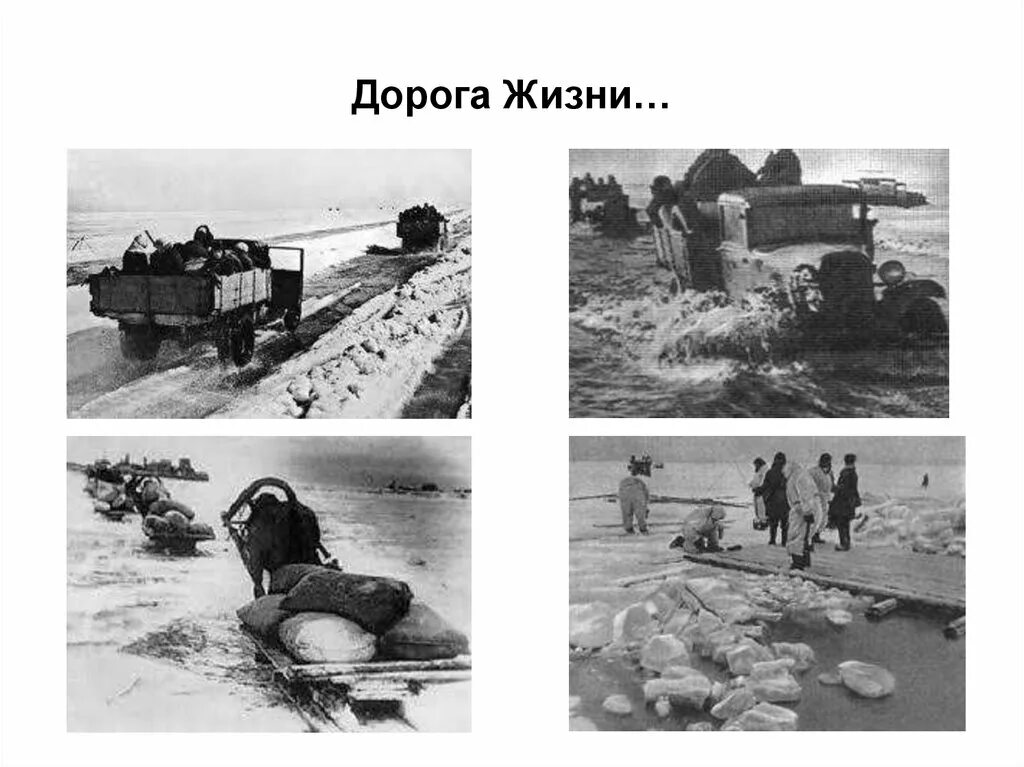 Мария ш дорога жизни 9в фото Дорога жизни фонд фото YugNash.ru