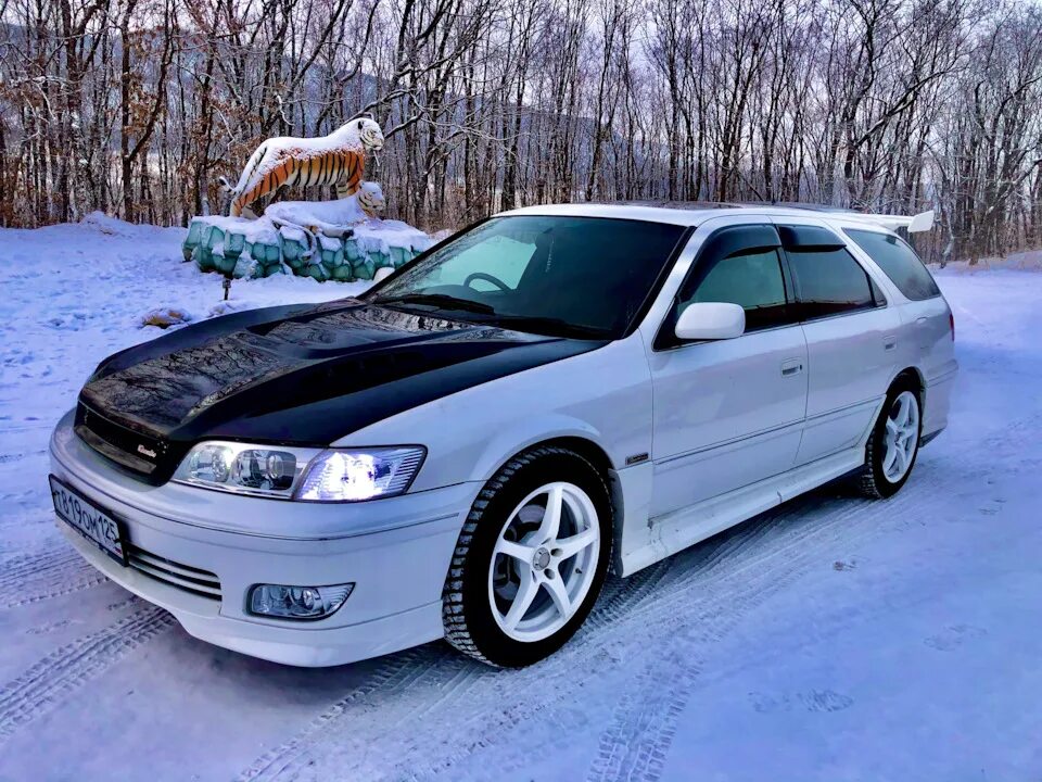 Марк куалис фото Подготовка к летнему сезону - Toyota Mark II Qualis, 2,5 л, 1999 года плановое Т