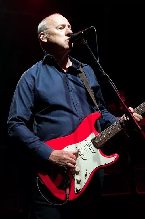 Марк нопфлер фото Tournée di Bob Dylan con Mark Knopfler del 2012 - Wikipedia