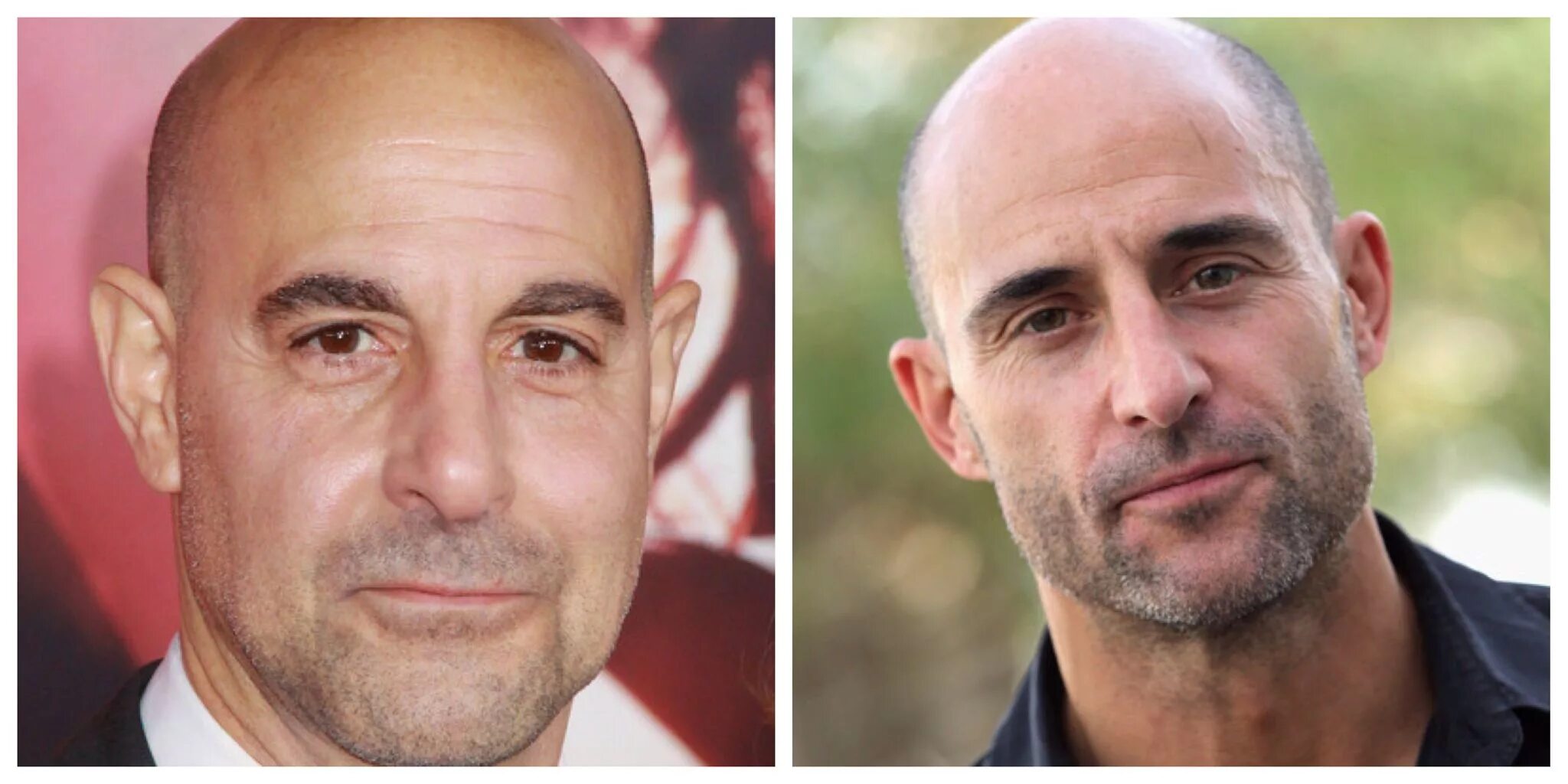 Марк стронг и стэнли туччи похожи фото Stanley Tucci and Mark Strong - Dynamic Duo