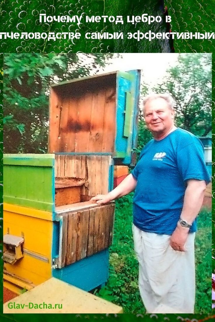 Марк ульев фото метод цебро в пчеловодстве Outdoor storage, Outdoor storage box, Outdoor decor