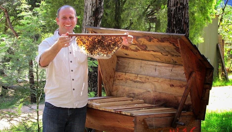Марк ульев фото The Kenyan Top Bar Hive - Beekeeping Naturally Top bar bee hive, Top bar hive, B