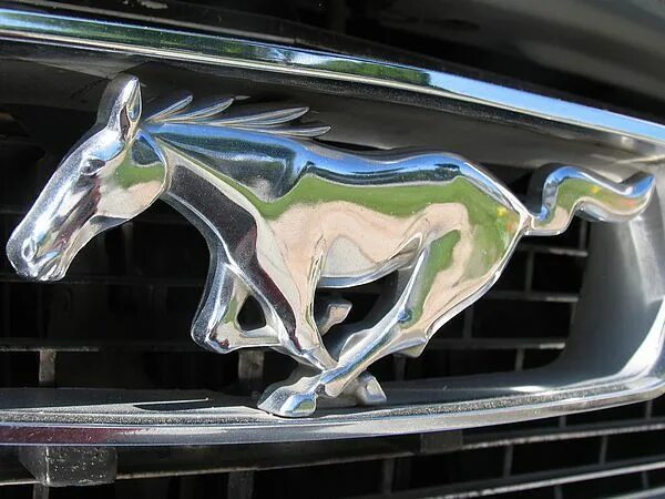 Марка машины с лошадью фото Simbolo do carro Mustang. Carro mustang, Mustang, Carros