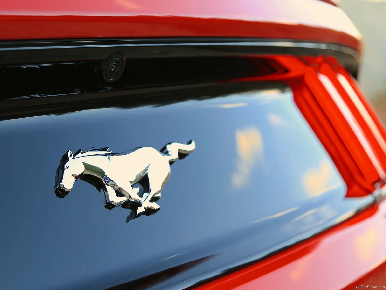 Марка машины с лошадью фото Ford Mustang EcoBoost фото № 135107 автомобильная фотогалерея Ford Mustang EcoBo