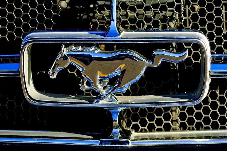 Марка машины с лошадью фото 1965 Ford Shelby Mustang Grille Emblem by Jill Reger Mustang shelby, Ford mustan