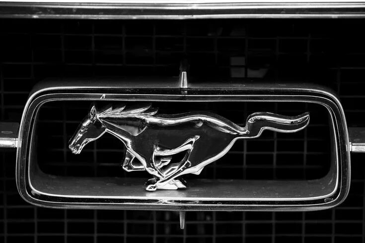 Марка машины с лошадью фото Ford: Elektroauto trägt Mustang-Gene Shots Magazin Ford mustang, Ford mustang lo