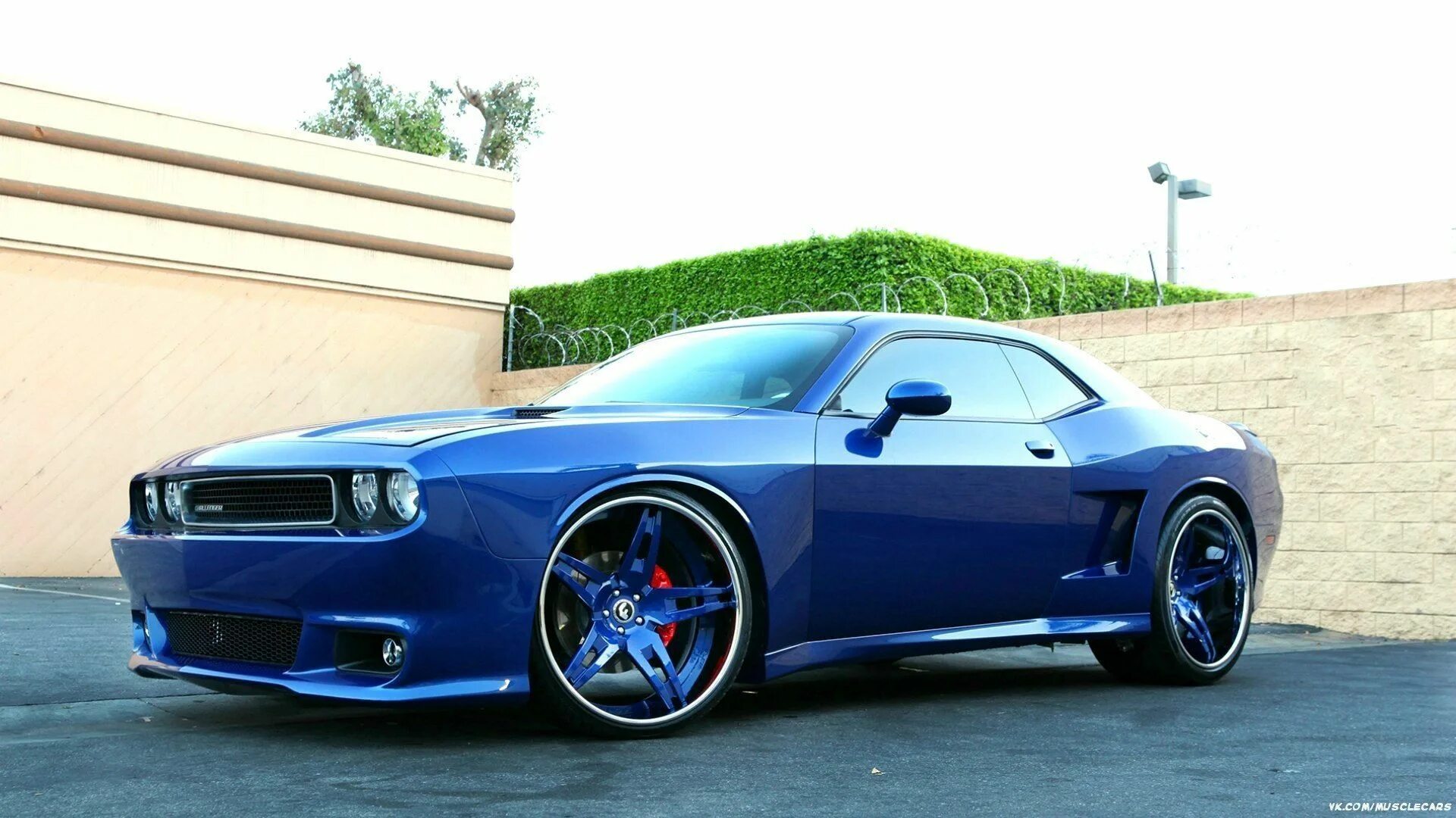Марка машины тюнинг #Mustang #Mustangcars #cars #ford #fordMustang