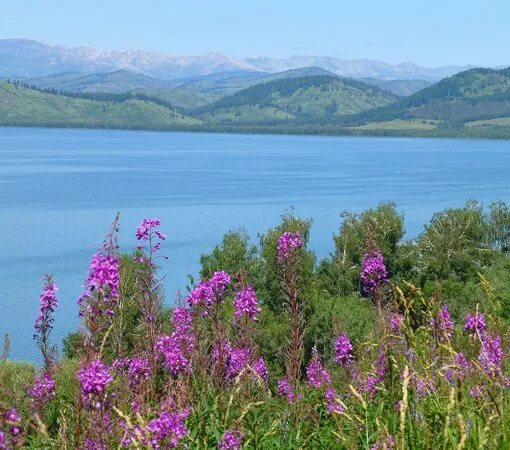 Маркакольский заповедник восточный казахстан фото Lake Markakol in Yelovka