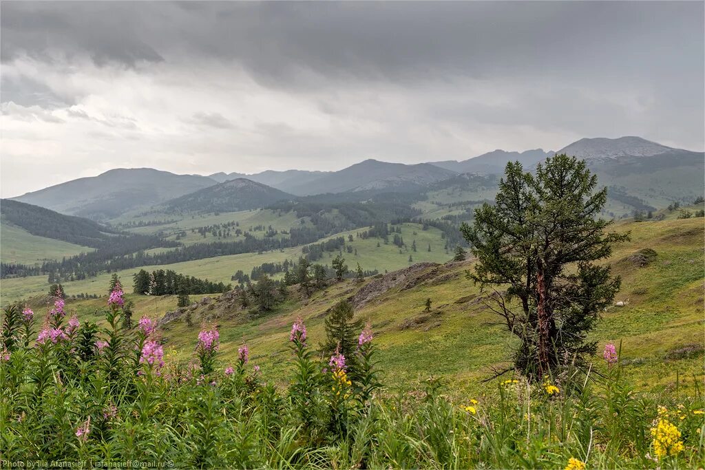 Маркакольский заповедник восточный казахстан фото Markakolsky State Nature Reserve - Kazakhstan travel and tourism blog