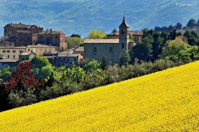 Марке италия фото LUOGHI DELLE MARCHE - MARCHE LANDSCAPE (Italy) Visit italy, Italy, Travel dreams