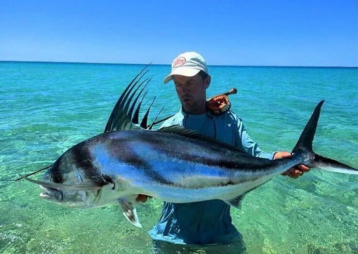 Марлен рыбы фото Instagram photo by Amberjack * May 26, 2016 at 1:16pm UTC Fishing trip, Sea fish
