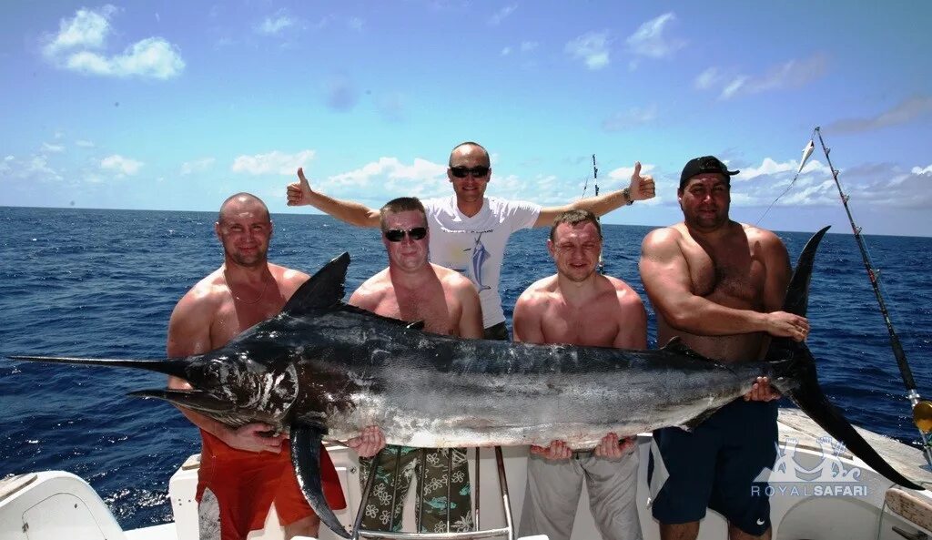 Марлен рыбы фото Флорида " Черный марлин (Black marlin, Makaira indica)