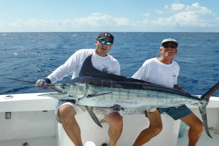 Марлен рыбы фото Deep Sea Fishing off the coast of Dubai Deep sea fishing, Deep sea, Fishing char
